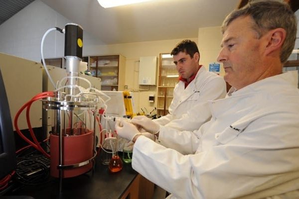 tralee-new-frontiers16 tralee-new-frontiers16