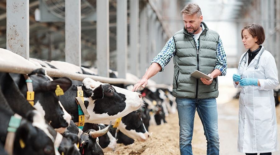 A Guide To Getting The Most From Digitalisation In Your Startup