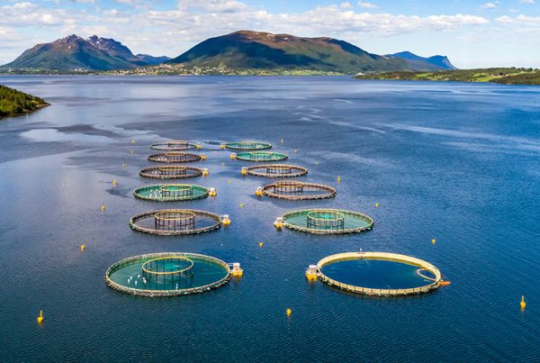 Scientist Turned Founder, Margaret Rae, Is Building A Prevention System For The Aquaculture Sector