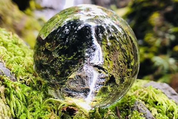 Founder Perspectives Lessons From Building Businesses In Sustainability