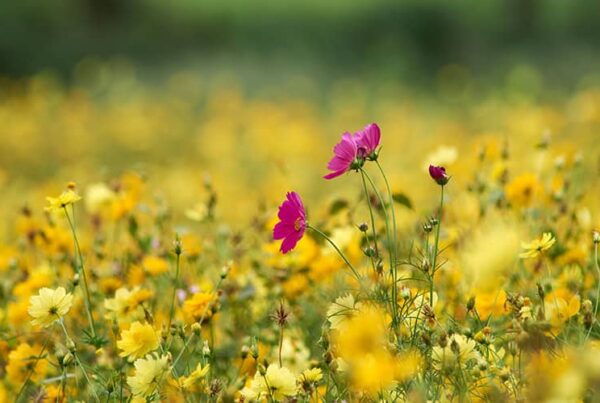 Raise Your Startup's Visibility & Credibility By Entering These Competitions