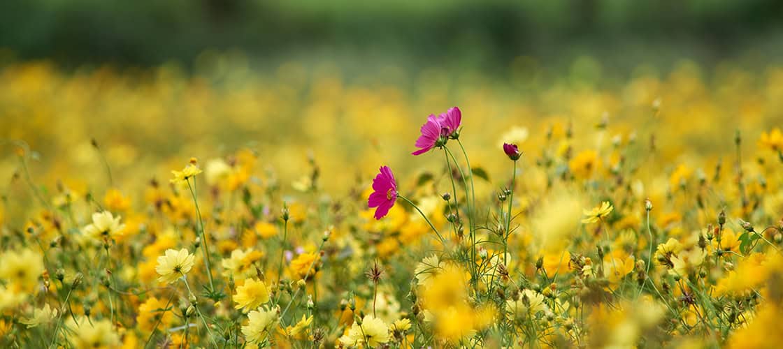 Raise Your Startup's Visibility & Credibility By Entering These Competitions